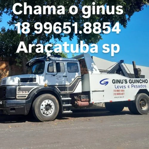 Imagem 5